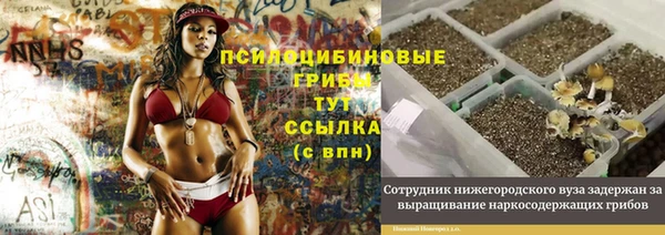 а пвп мука Бугульма