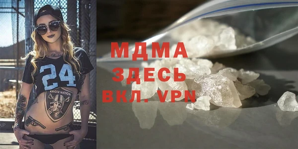 индика Богородицк